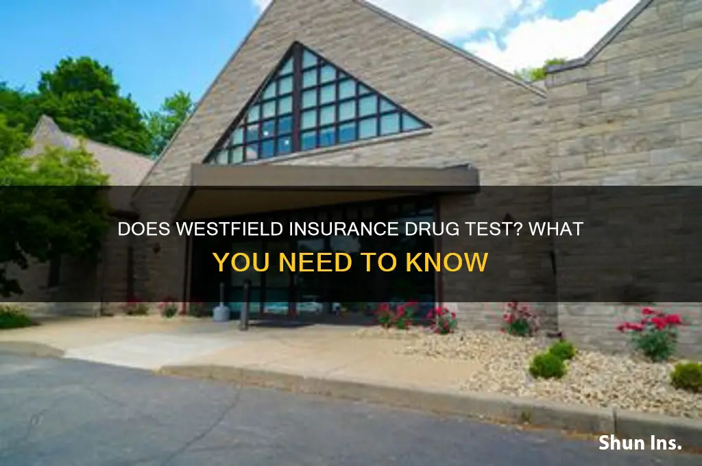 does westfield insurance drug test