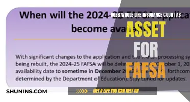 Whole Life Insurance: Asset or Not for FAFSA?