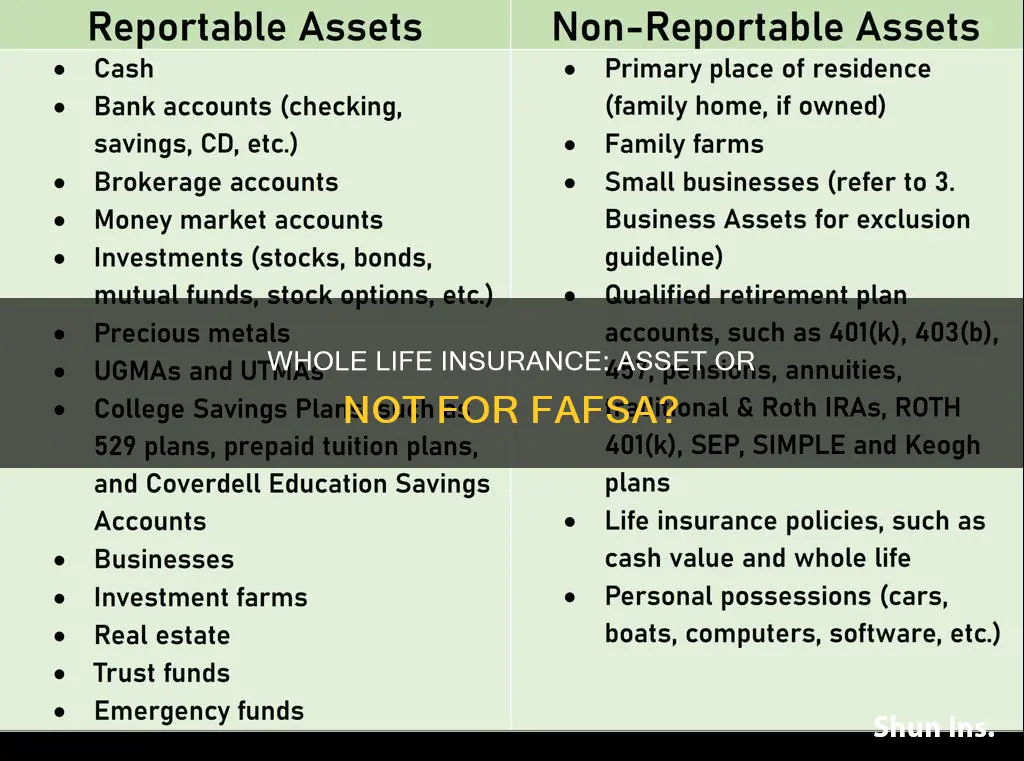 does whole life insurance count as asset for fafsa