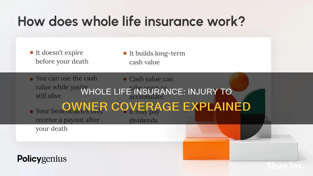 does whole life insurance cover injury to owner