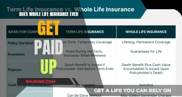 Whole Life Insurance: When Does It Pay Up?