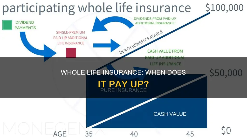 does whole life insurance ever get paid up