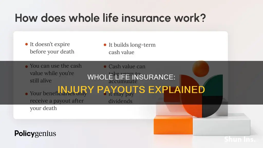 does whole life insurance have payout if you get hurt