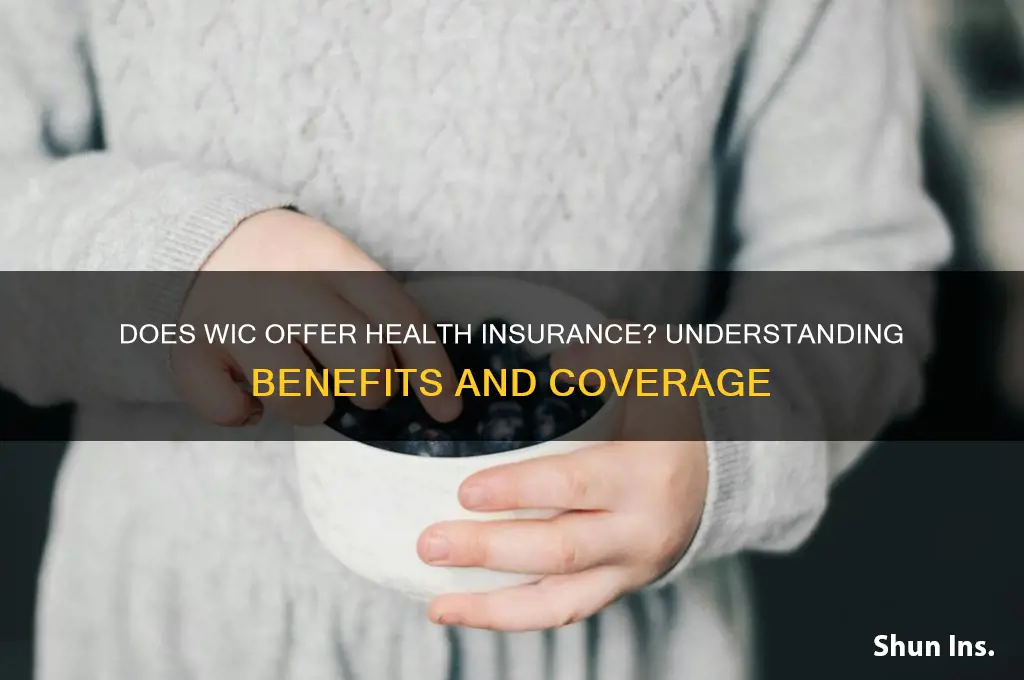 does wic provide health insurance