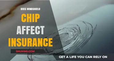 Windshield Chip Repair: Does Insurance Cover It?