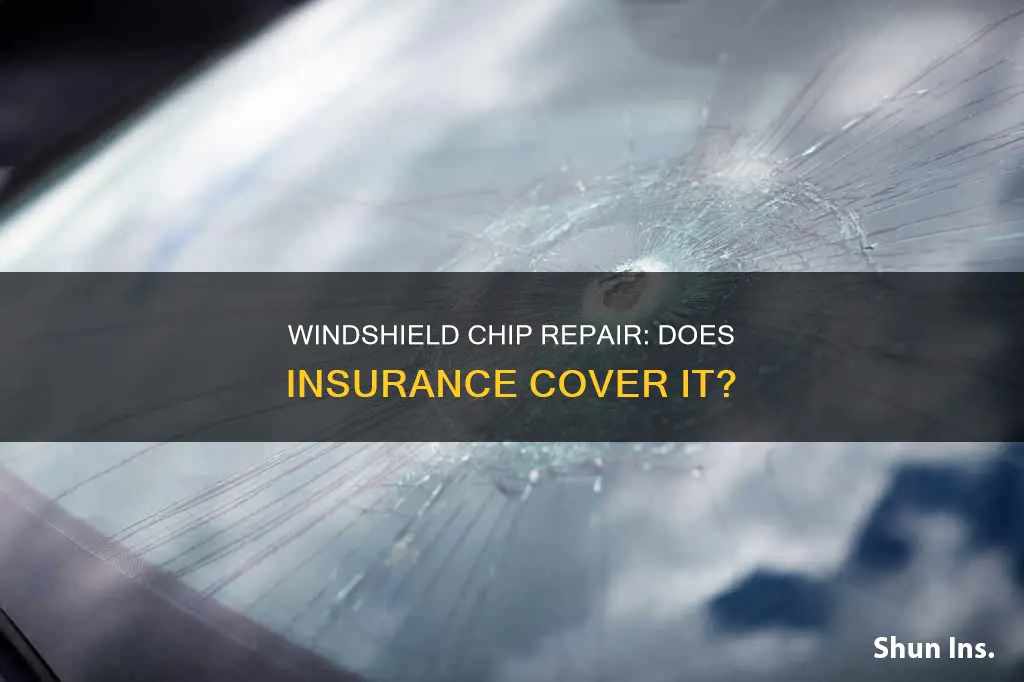 does windshield chip affect insurance