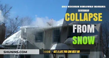Homeowner Insurance: Snow Roof Collapse Coverage in Wisconsin