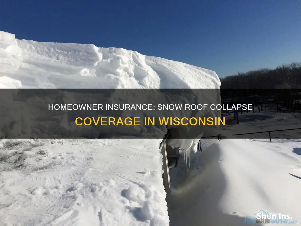 does wisconsin homeowner insurance coverroif collapse from snow