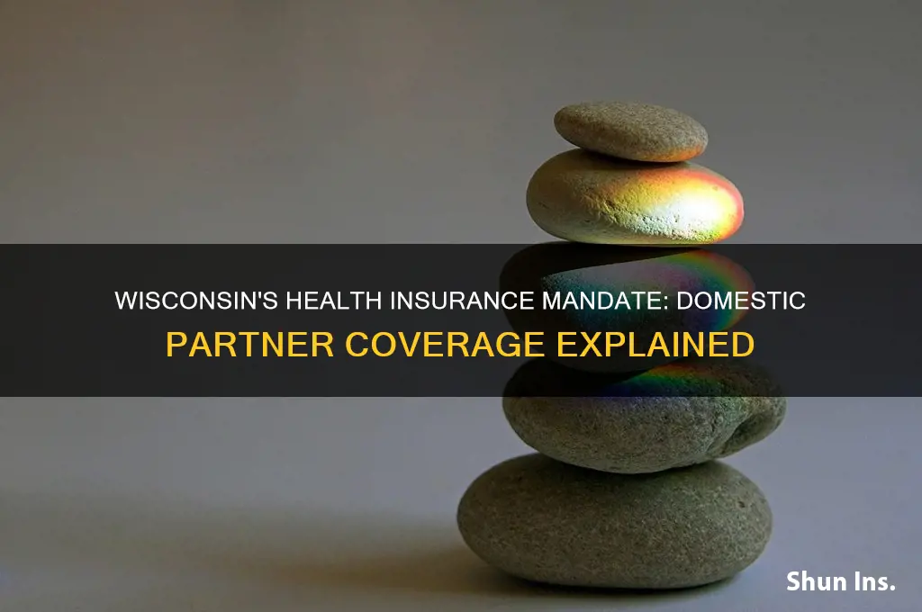 does wisconsin mandate helth insurance for domestic partners