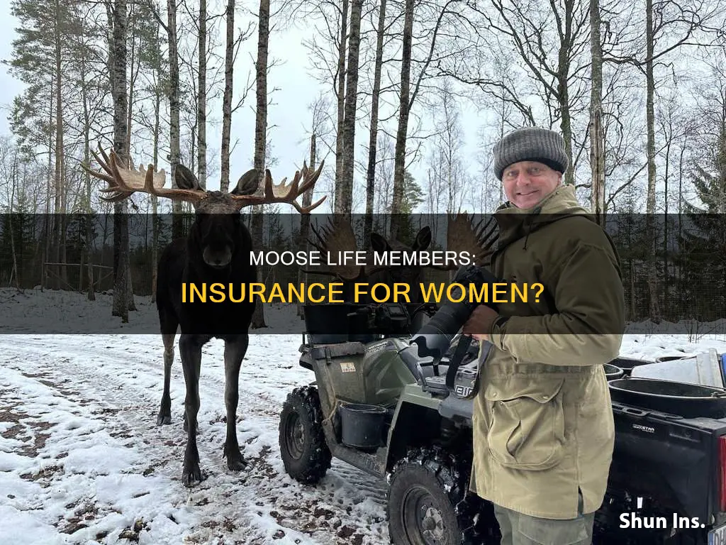 does women of the moose life members have life insurance