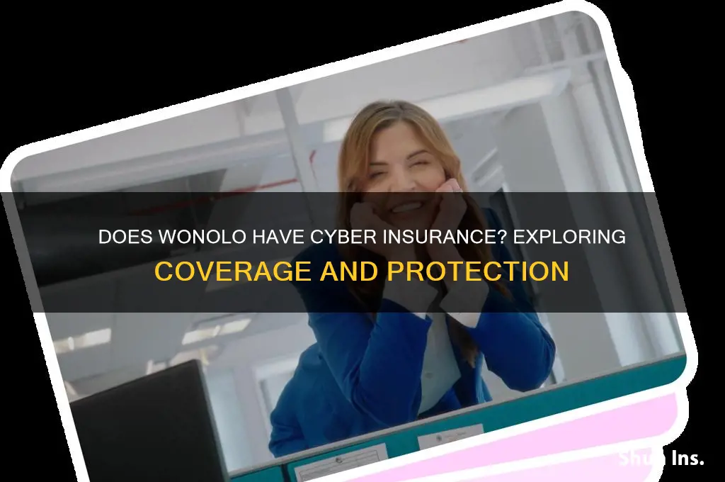 does wonolo have cyber insurance