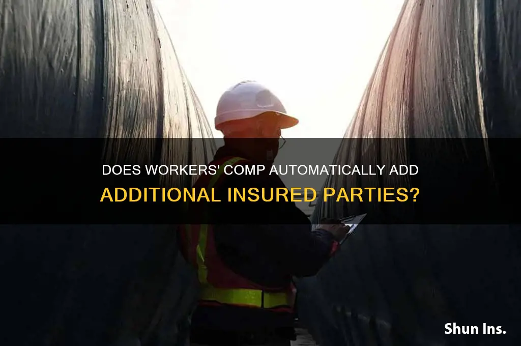 does workmans comp list additionsal insured