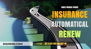 Does World Force Insurance Automatically Renew? Key Facts to Know