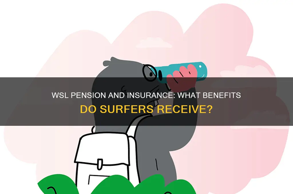 does wsl have a pension fund ir insurance