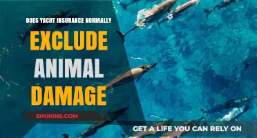 Yacht Insurance and Animal Damage: Are You Covered?