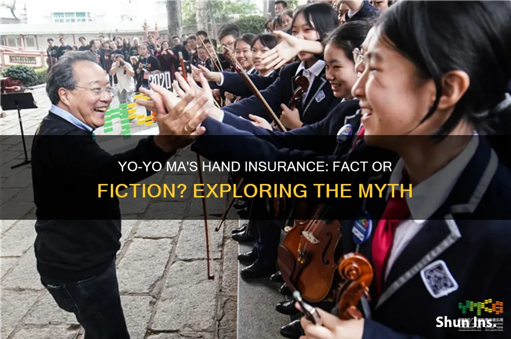 does yo yo ma have hand insurance