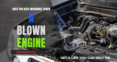 Blown Engine Blues: Are You Covered by Your Auto Insurance?