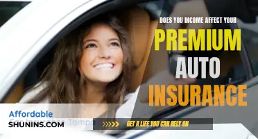 Income and Auto Insurance: The Premium Connection