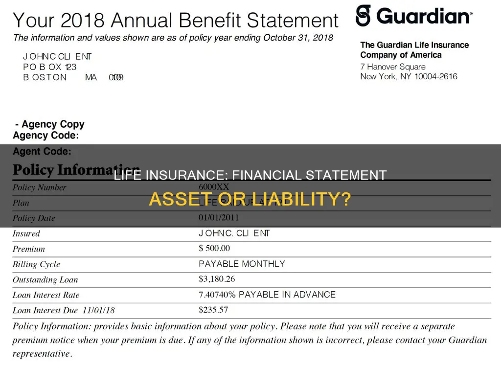 does you put value of life insurance on financial statement