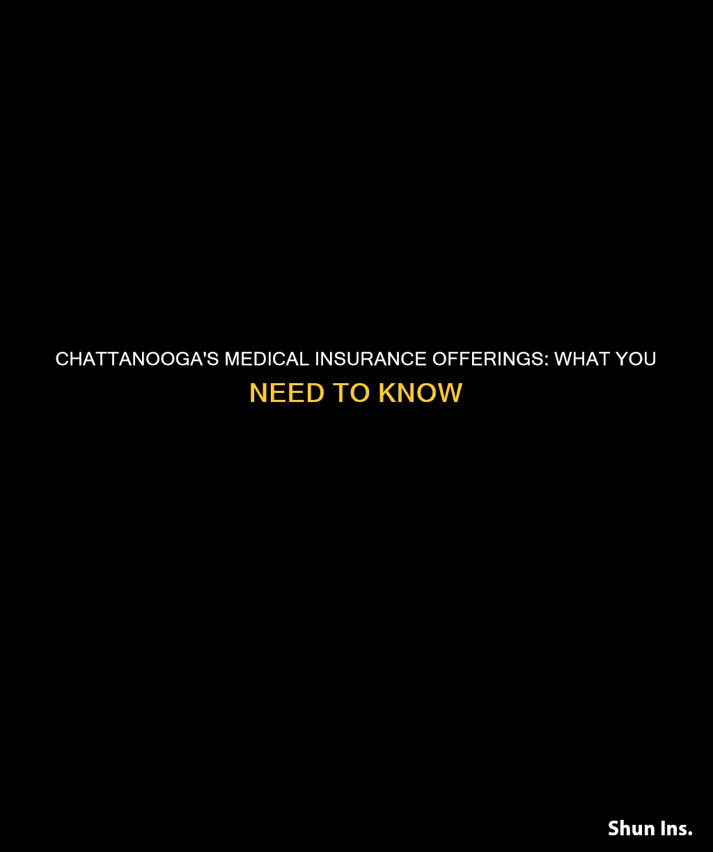 does you t chattnooga offer medical insurance