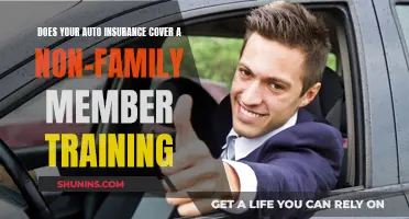 Auto Insurance and Non-Family Members: Understanding the Training Conundrum