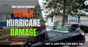 Auto Insurance and Hurricane Havoc: What's Covered When Nature Strikes?