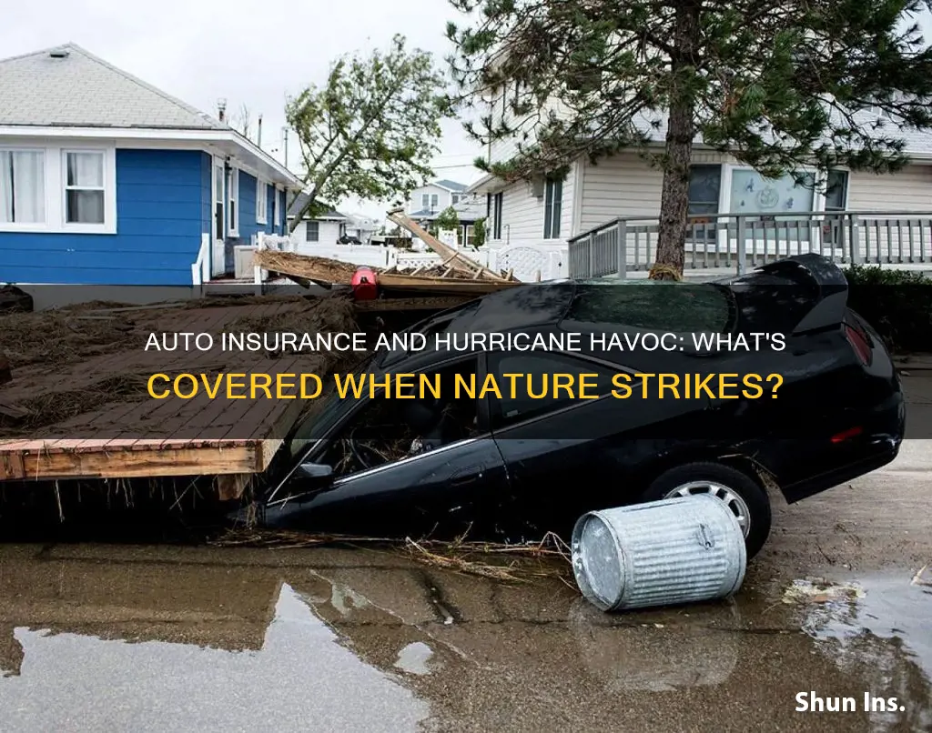 does your auto insurance cover hurricane damage