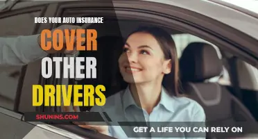 Auto Insurance: Understanding Coverage for Other Drivers