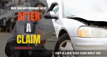 Auto Insurance Claims: The Costly Aftermath