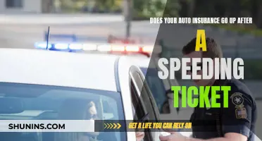 Speeding Tickets: The Costly Aftermath