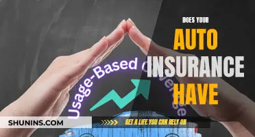 Your Auto Insurance: What's Covered and What's Not