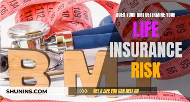 BMI: A Life Insurance Risk Factor?