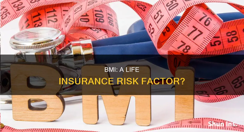 does your bmi determine your life insurance risk