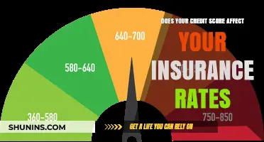 Credit Score Impact: Insurance Rates and You