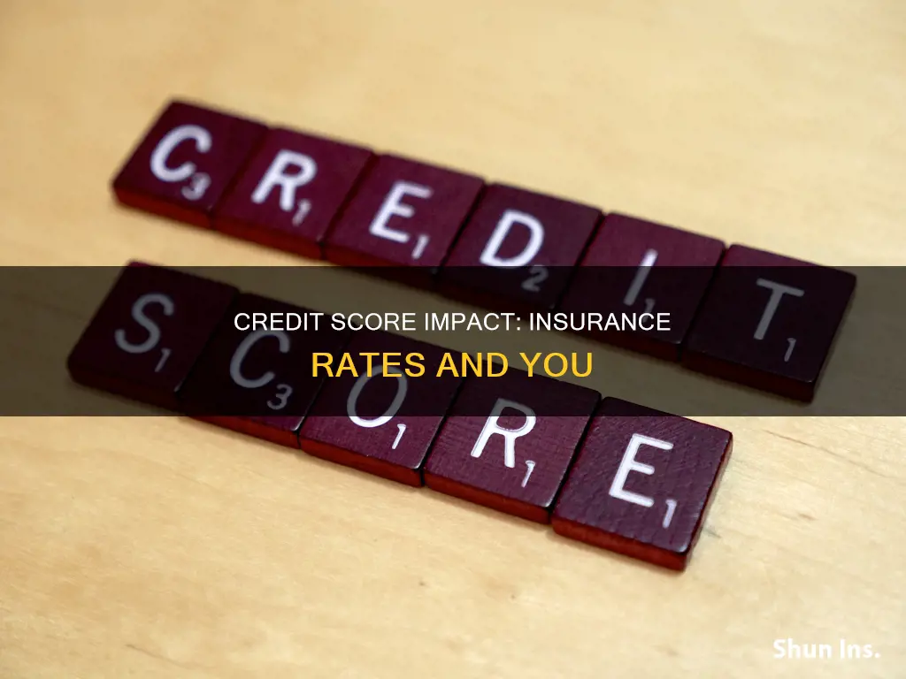 does your credit score affect your insurance rates