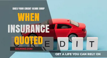 Insurance Quotes and Credit Scores: Does Checking Impact Your Rating?
