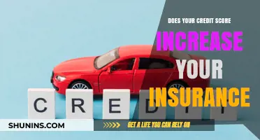 How Your Credit Score Impacts Insurance Rates: What You Need to Know