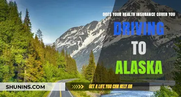 Health Insurance Coverage for Road Trips: Alaska Edition