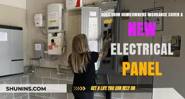 Electrical Panel Coverage: Is Your Home Insured?