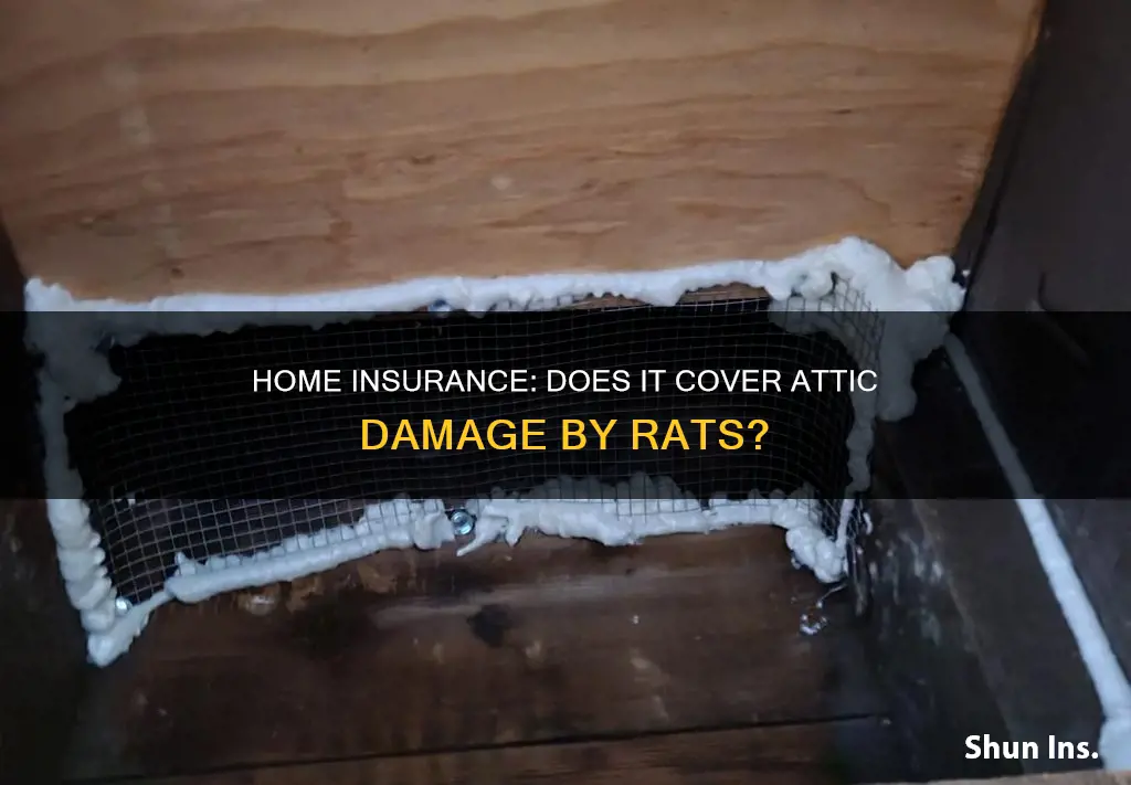 does your homeowners insurance cover attic dammage from rats