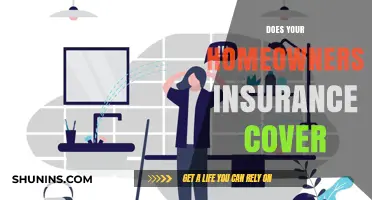 Homeowners Insurance: What's Covered and What's Not?