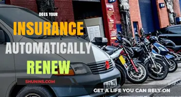Does Your Insurance Automatically Renew? What Policyholders Need to Know