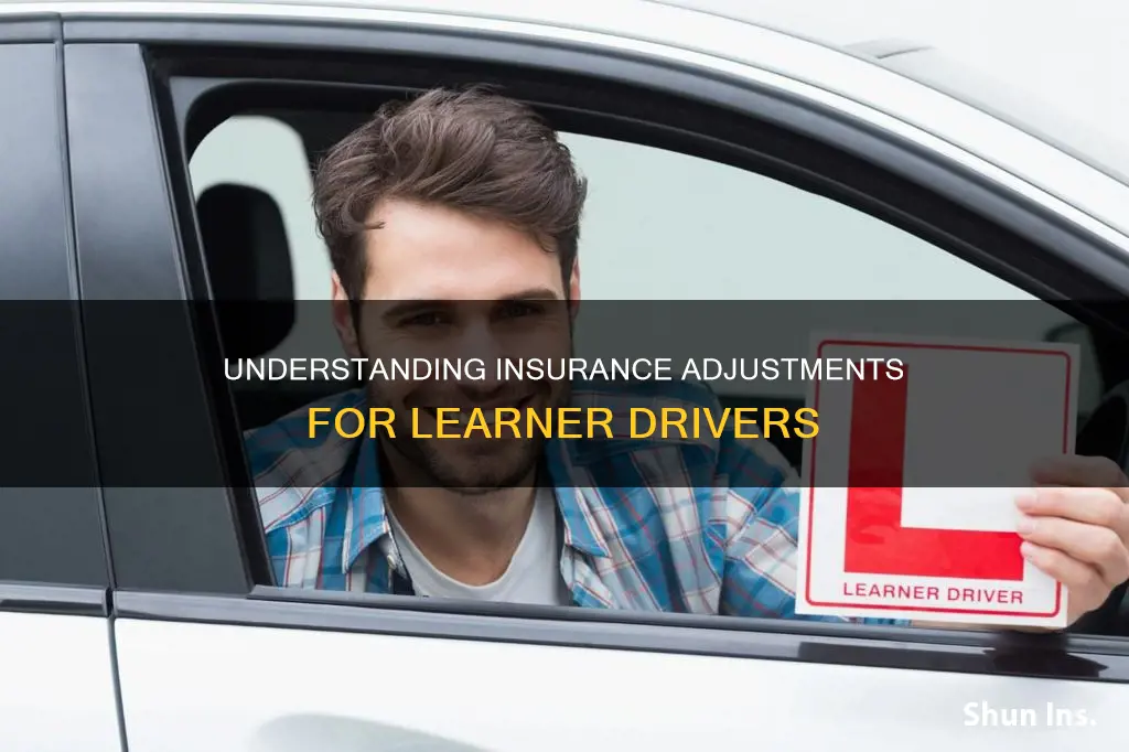 does your insurance change for a learner driver