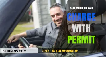 Does Your Insurance Charge Extra for Driving with a Permit?