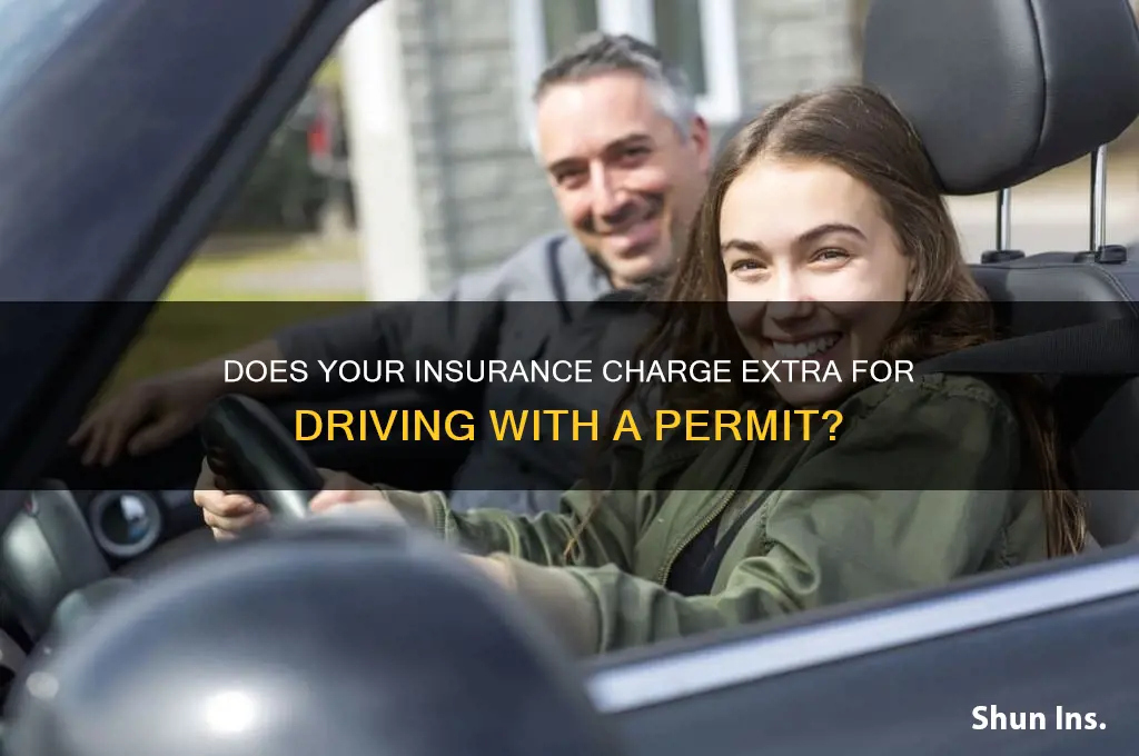does your insurance charge with permit
