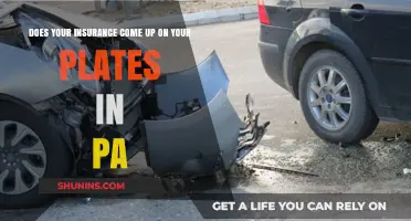 Does PA License Plate Insurance Verification Affect Your Driving Record?