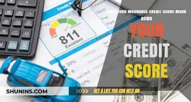 Insurance Credit Score: How It Impacts Your Overall Credit Rating