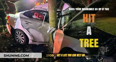 How Hitting a Tree Can Increase Your Insurance Premiums
