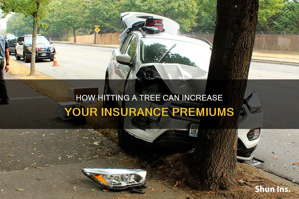 does your insurance go up if you hit a tree