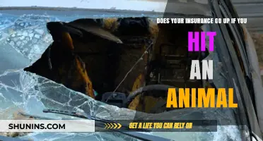 Hitting Animals: Insurance Rates and Road Safety